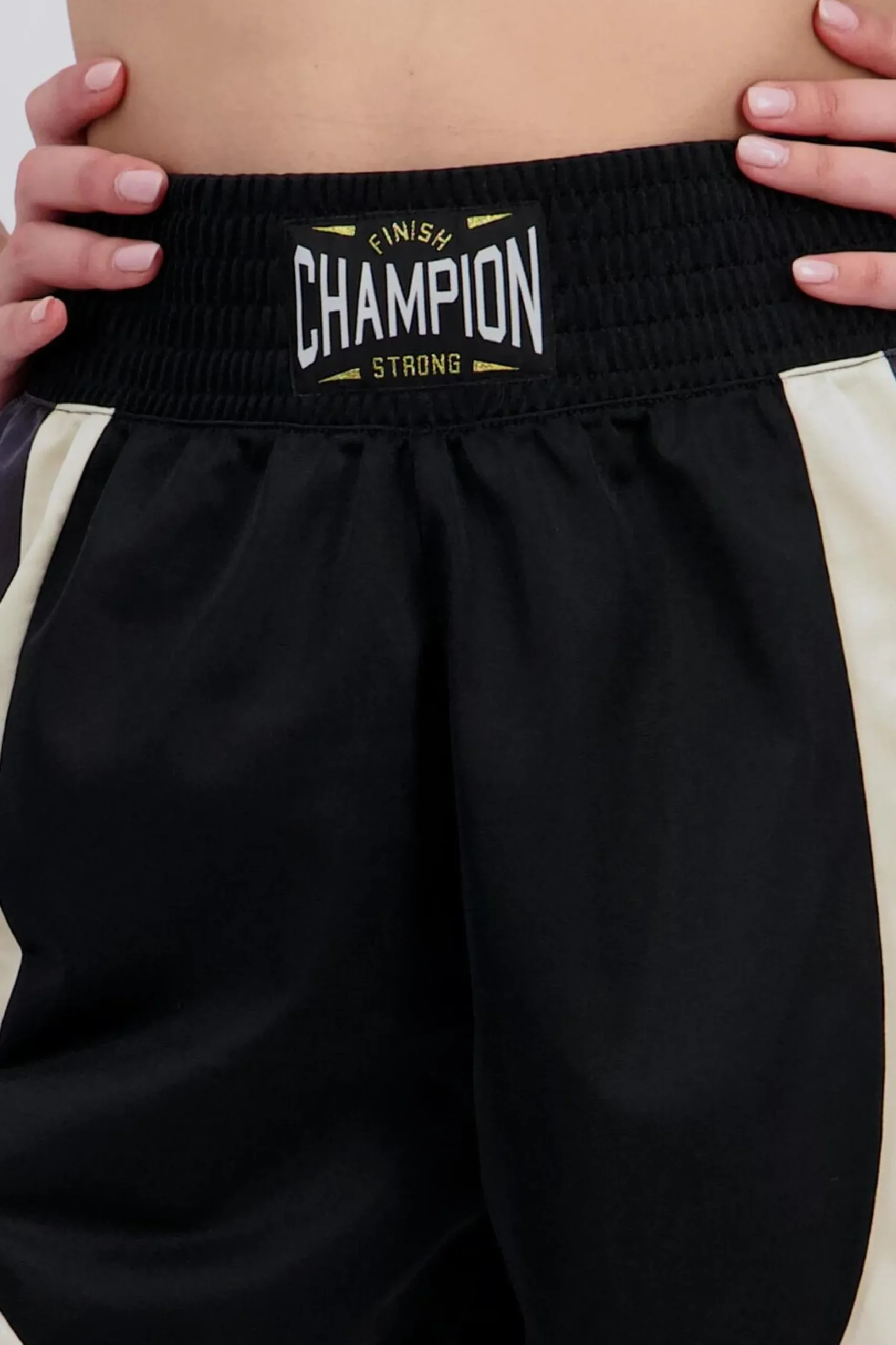 Champion Boxer Fit