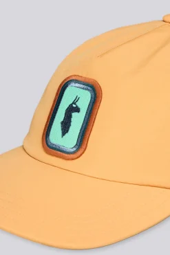 Cotopaxi Radiant Llama