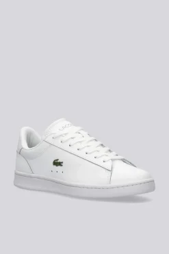 Lacoste Carnaby