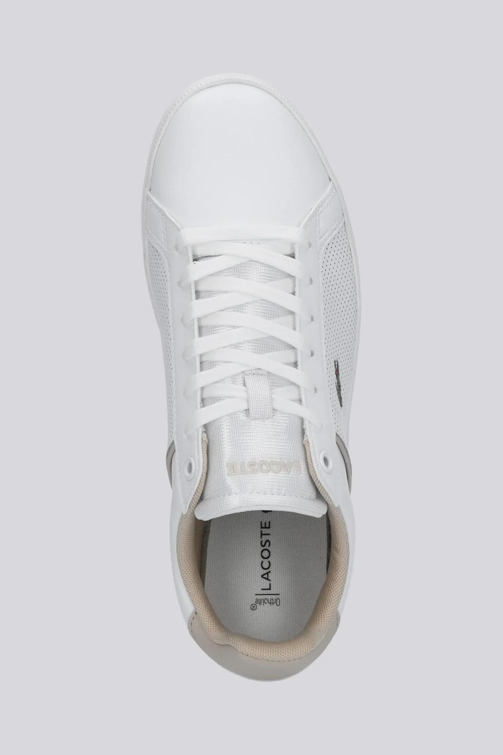 Lacoste Lite Base