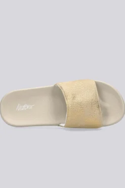 Nicoboco Gladis