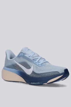 Nike Pegasus 42