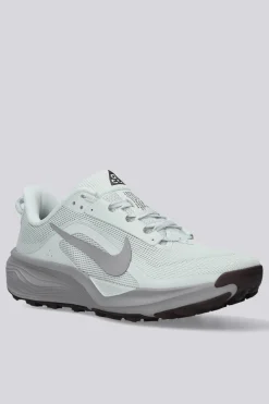 Nike Pegasus