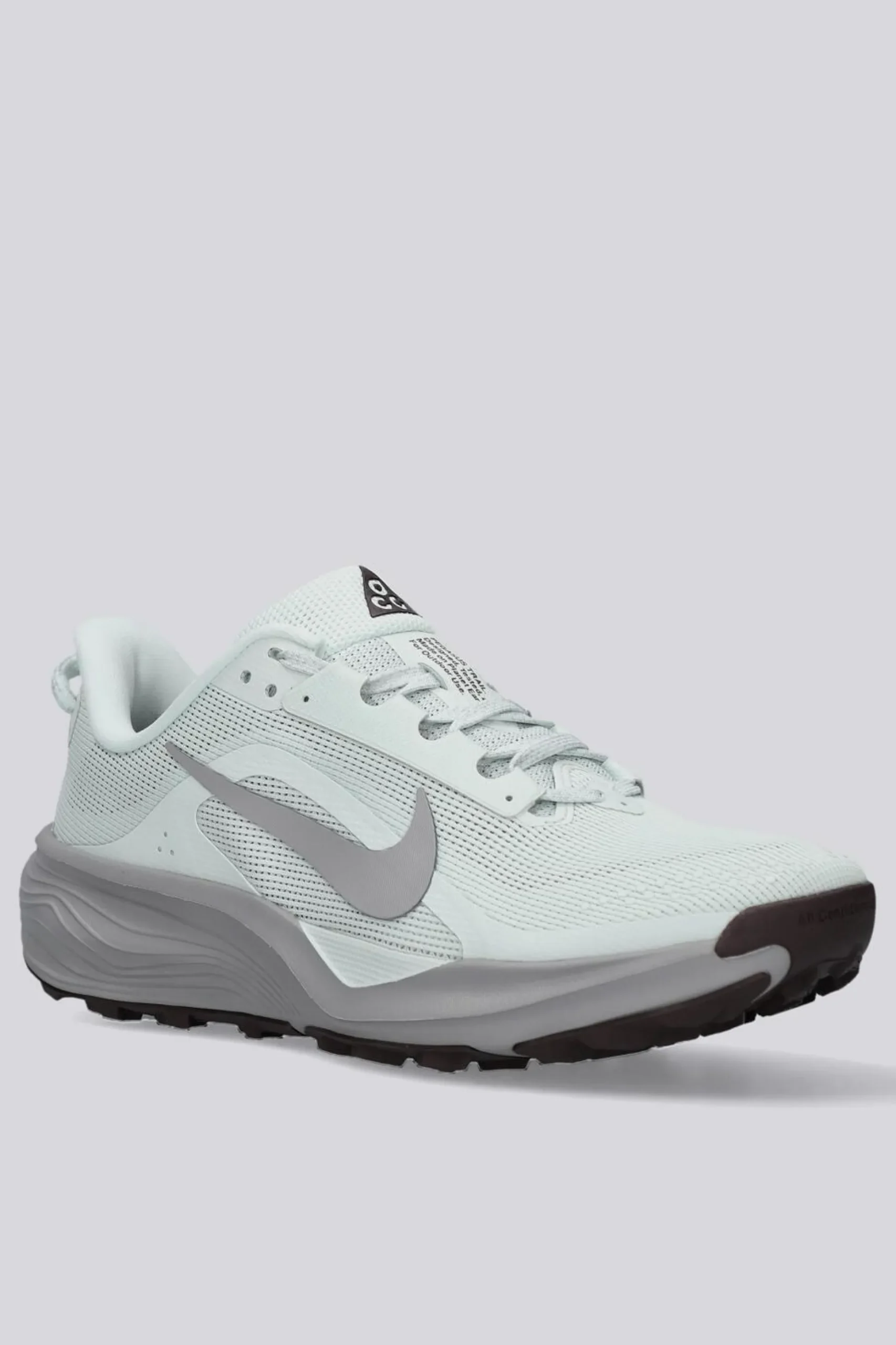 Nike Pegasus