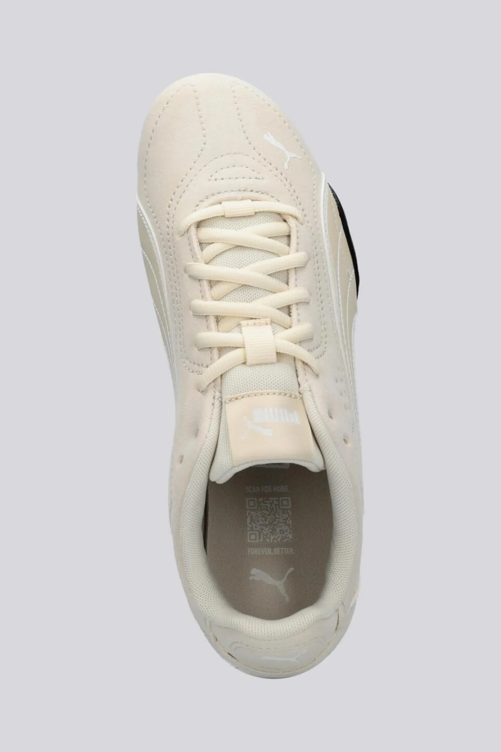 Puma Catch