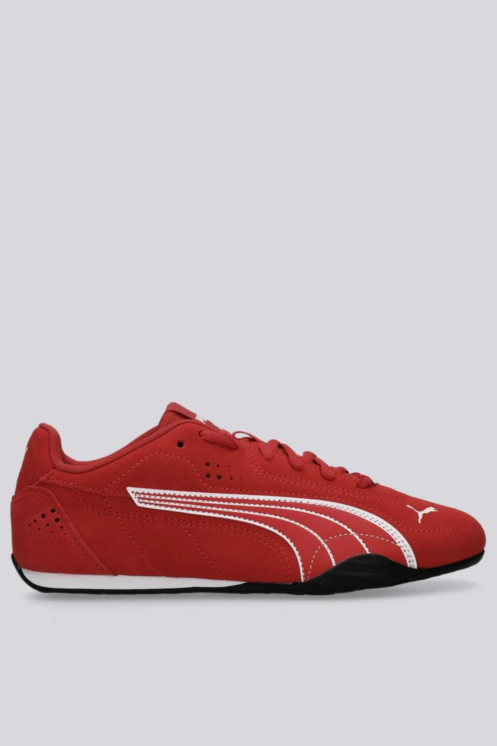 Puma Catch