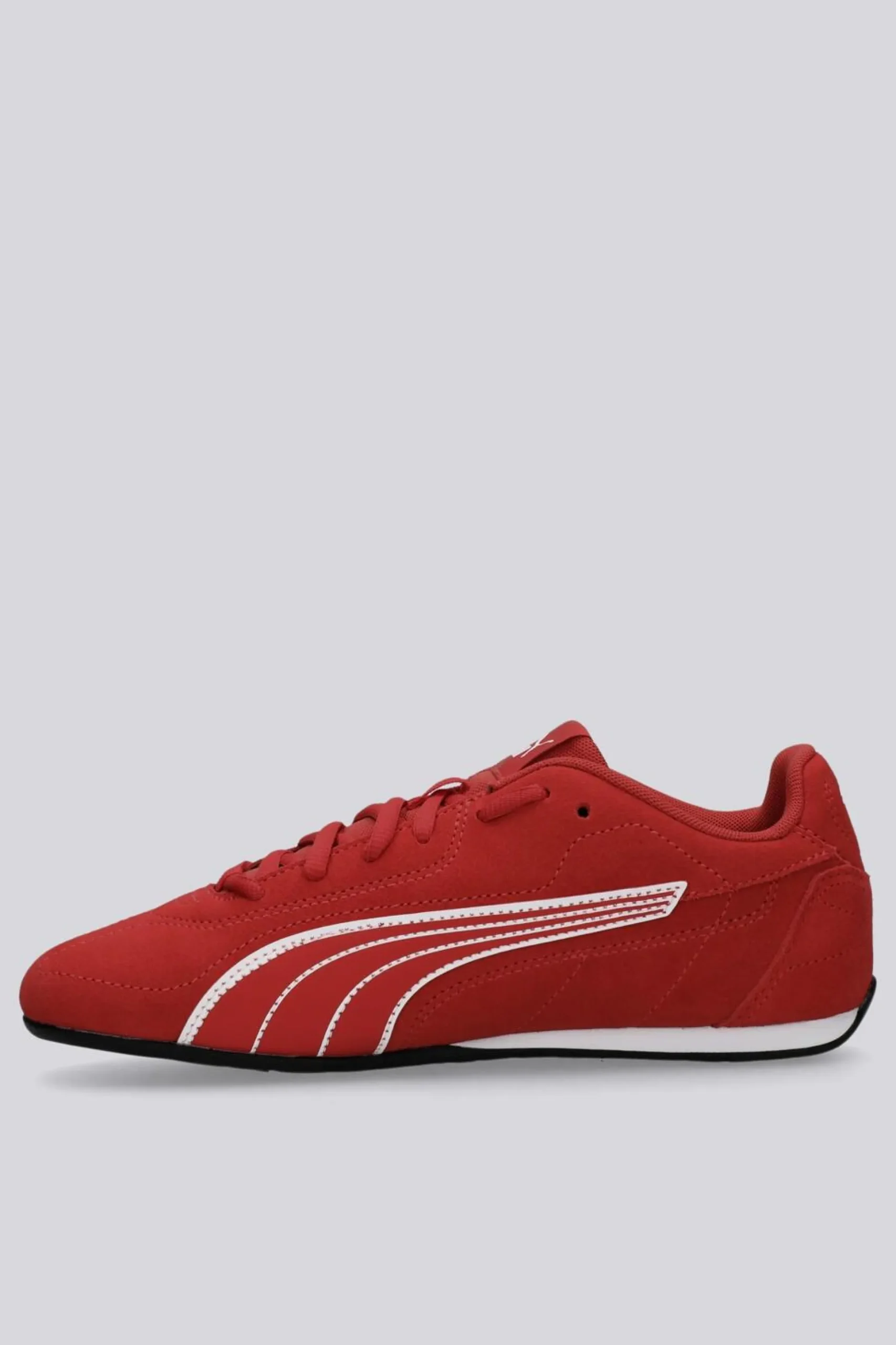 Puma Catch