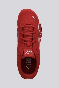 Puma Catch