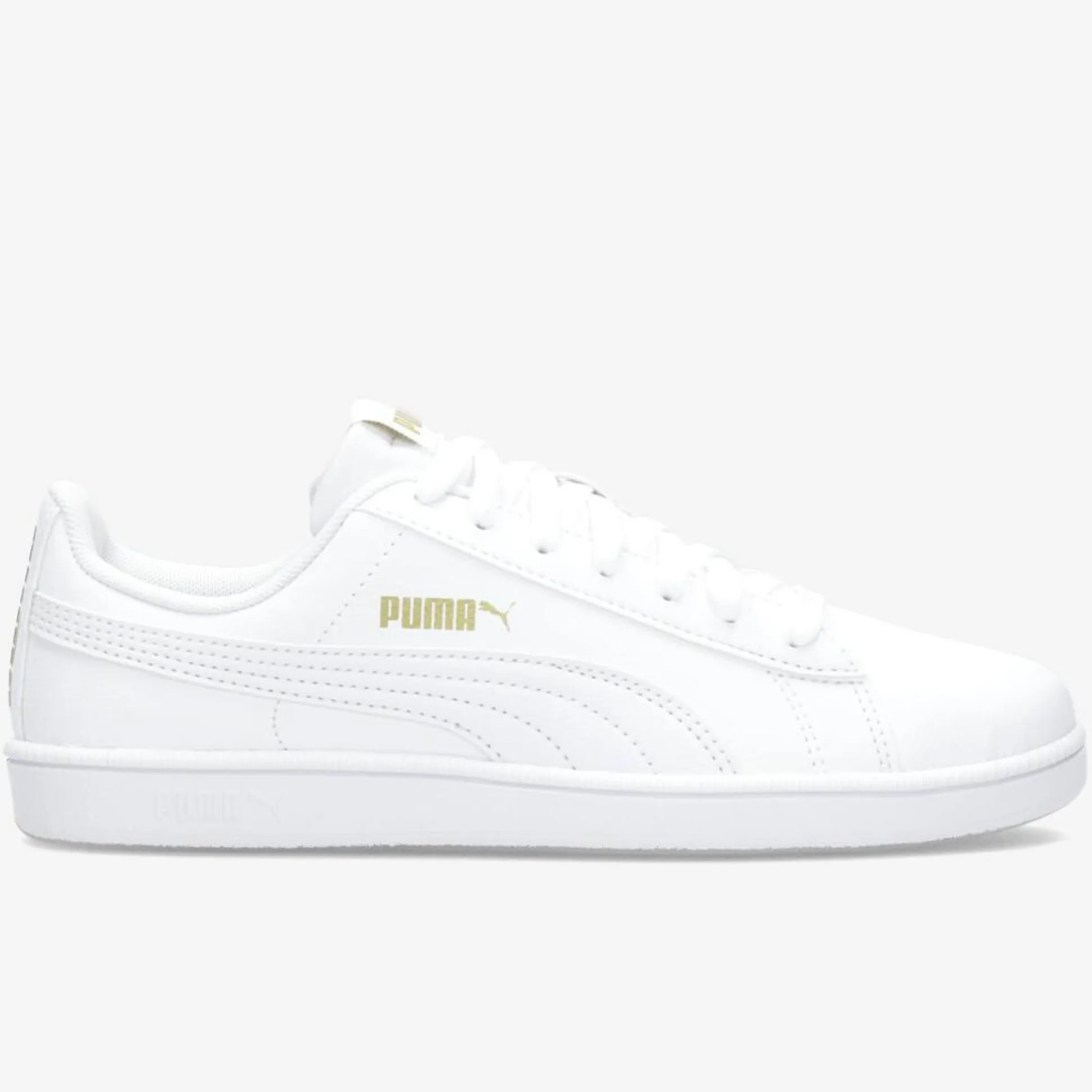 Puma Up
