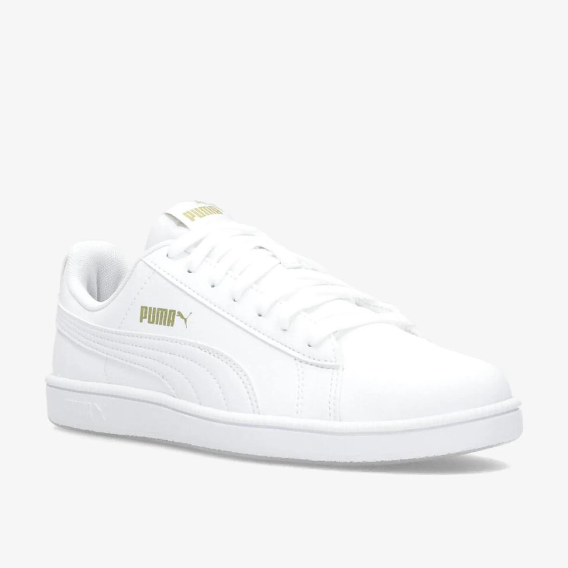 Puma Up