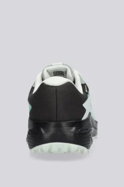 Salomon Alphaglide Gtx