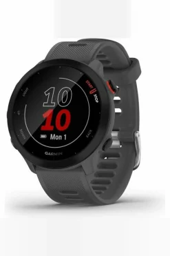 Smartwatch Garmin Forerunner 55